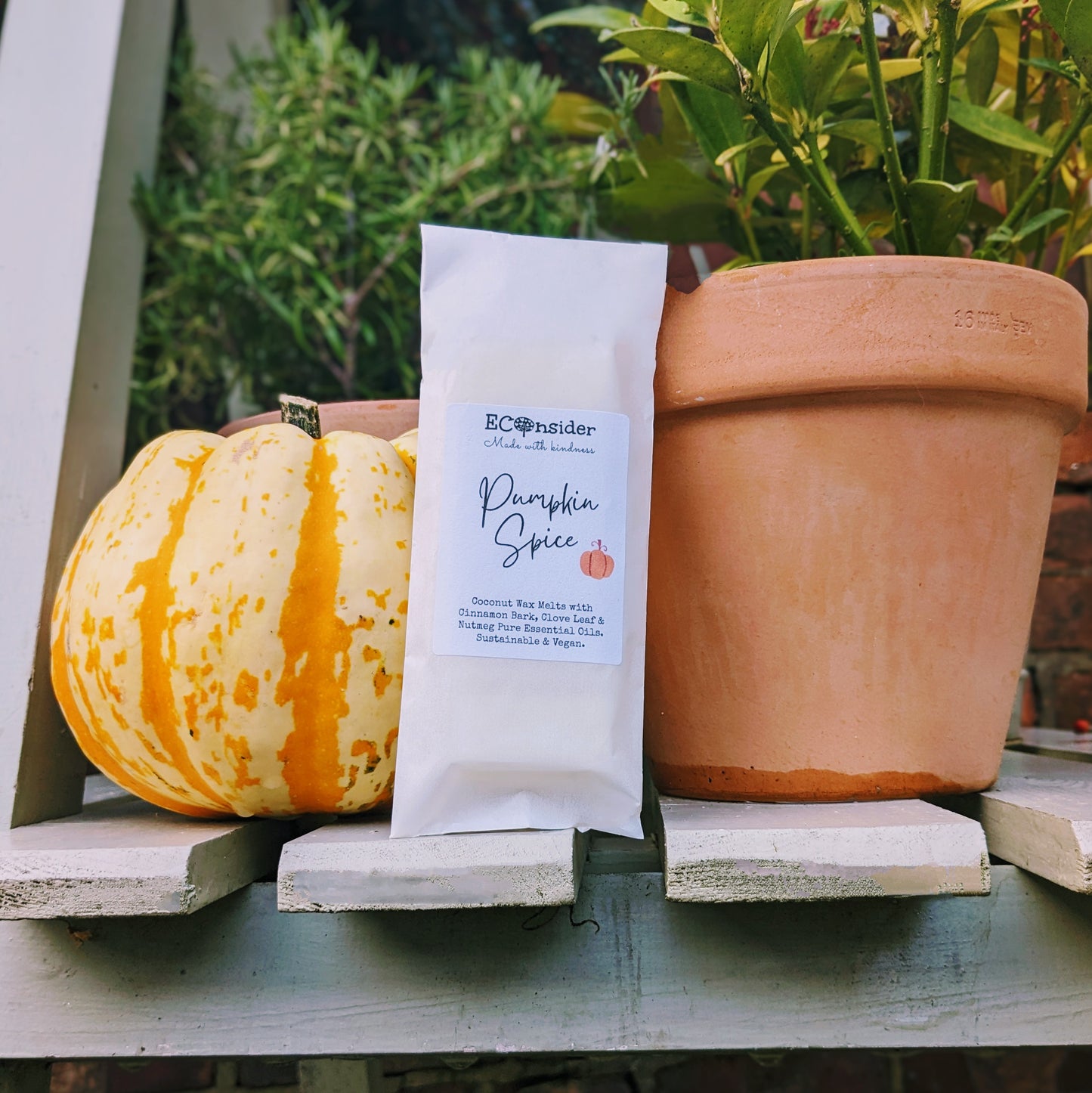 Pumpkin Spice - Aromatherapy Wax Melts